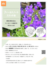 スケッチ会のご案内 スケッチ会のご案内